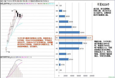 半夏的市場流通與貿易經紀角色解析