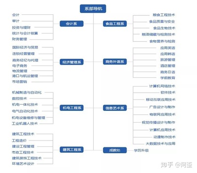 貿易經紀專業山東單招擇校指南 這些學校值得你優先考慮